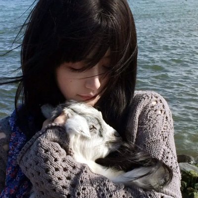 小狮王守护队:狮王再起