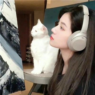 喜剧综艺