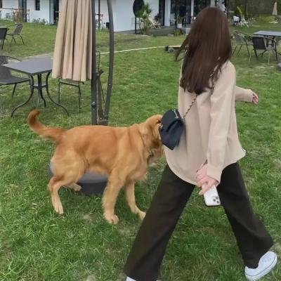 爱情,说来可笑