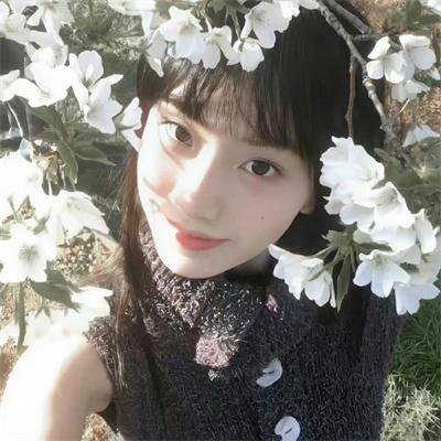 相敬如宾